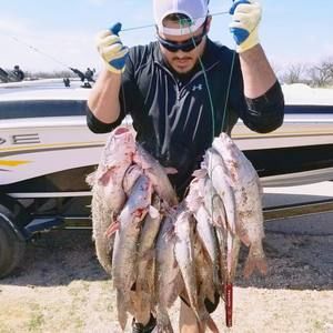 Meet your Posher, Hugo